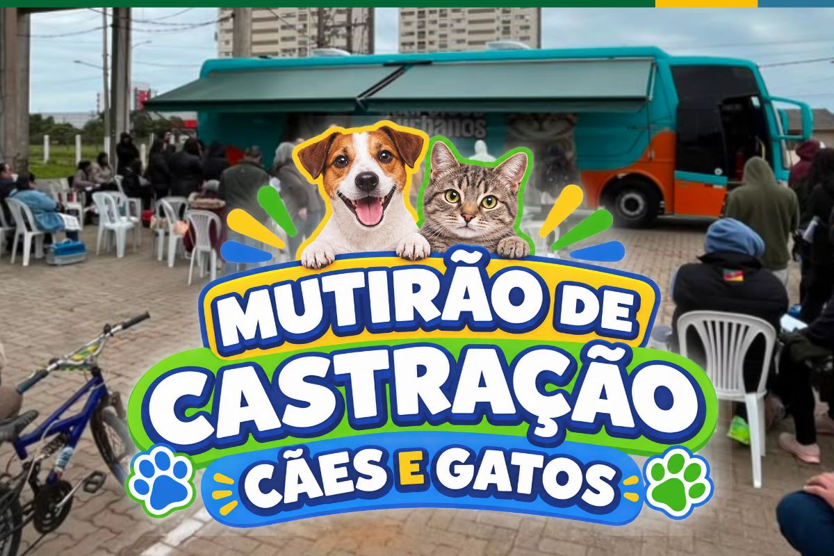 A iniciativa visa o controle populacional e a prevenção de doenças nos animais de estimação da comunidade. (Foto: Ascom/Prefeitura Municipal de Torres)